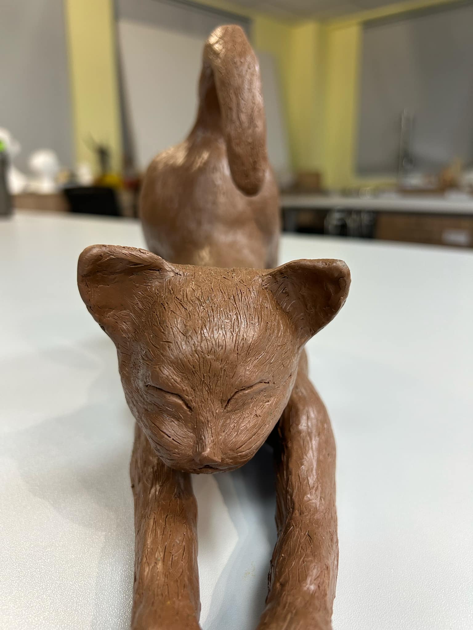 (signed) This Is Not What Thought / Yuri Hasegawa